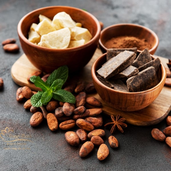 Cách làm môi hết thâm bằng nha đam bơ cacao